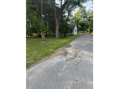 Handyman Special in a Prime Hubbard Lake Location! Don't miss - photo 2
