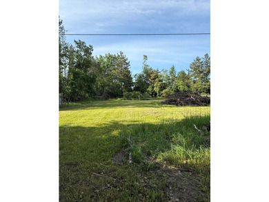 Handyman Special in a Prime Hubbard Lake Location! Don't miss - photo 7
