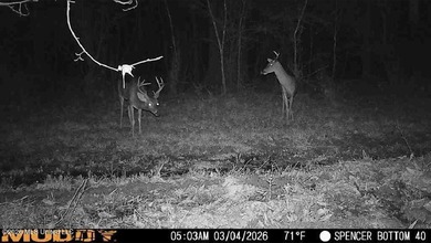 (private lake, pond, coastal) Acreage For Sale in Bogue Chitto Mississippi