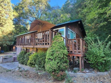 Lake Home For Sale in Dunsmuir, California