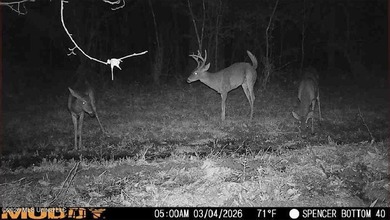 160+/- Acres - Bogue Chitto, Mississippi | Riverfront Hunting - photo 2