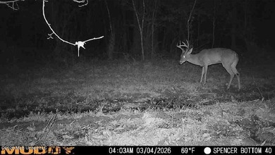 160+/- Acres - Bogue Chitto, Mississippi | Riverfront Hunting - photo 3