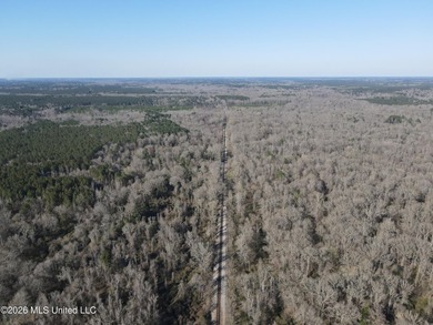 160+/- Acres - Bogue Chitto, Mississippi | Riverfront Hunting - photo 4