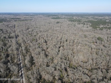 160+/- Acres - Bogue Chitto, Mississippi | Riverfront Hunting - photo 5