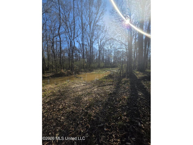 160+/- Acres - Bogue Chitto, Mississippi | Riverfront Hunting - photo 9