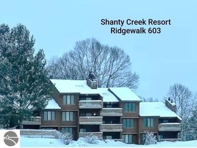 Lake Condo For Sale in Bellaire, Michigan