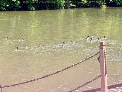 Rare Opportunity to Own a large lot on the river right now! - photo 33
