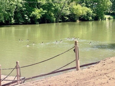 Rare Opportunity to Own a large lot on the river right now! - photo 34