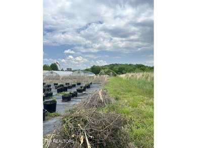 Great opportunity to own a working farm and nursery business - photo 4