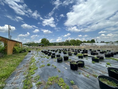Great opportunity to own a working farm and nursery business - photo 5