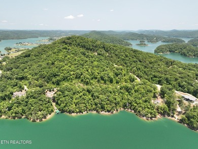 Year Round Water, Main Channel, Norris Lakefront Lot. Across - photo 7
