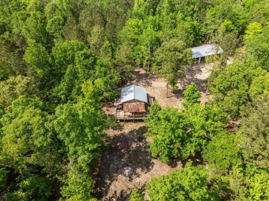 Lake Commercial For Sale in Lincolnton, Georgia