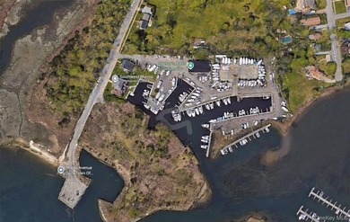 Established full-service marina known as Swezey's Hart Cove - photo 1