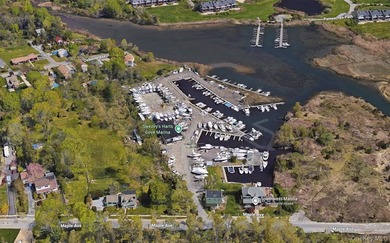 Established full-service marina known as Swezey's Hart Cove - photo 2