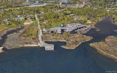 Established full-service marina known as Swezey's Hart Cove - photo 3