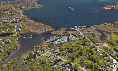 Established full-service marina known as Swezey's Hart Cove - photo 4