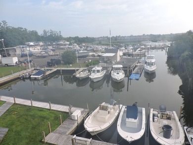 Established full-service marina known as Swezey's Hart Cove - photo 7