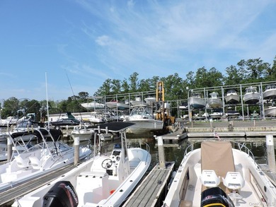 Established full-service marina known as Swezey's Hart Cove - photo 8