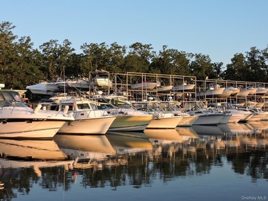 Established full-service marina known as Swezey's Hart Cove - photo 9