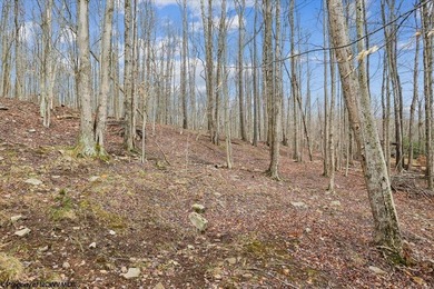 Tucked away on a serene 2-acre wooded lot in the highly - photo 39