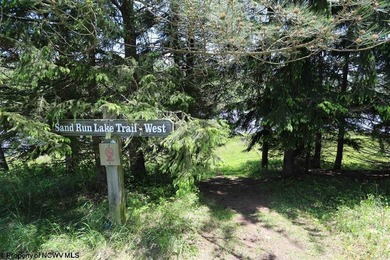 Tucked away on a serene 2-acre wooded lot in the highly - photo 40