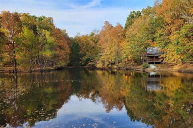 Lake Home For Sale in Chaffee, Missouri