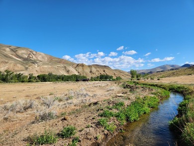7.32 acre vacant lot with water rights, located up the East Fork - photo 11
