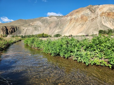 7.32 acre vacant lot with water rights, located up the East Fork - photo 12