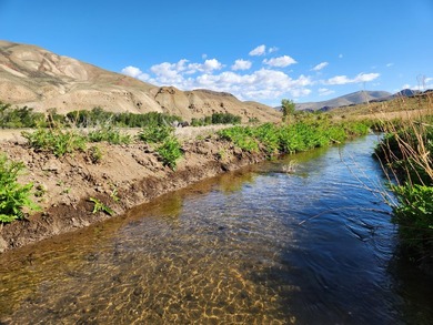 7.32 acre vacant lot with water rights, located up the East Fork - photo 13