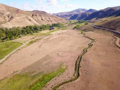 7.32 acre vacant lot with water rights, located up the East Fork - photo 21