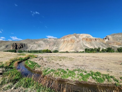 7.32 acre vacant lot with water rights, located up the East Fork - photo 24