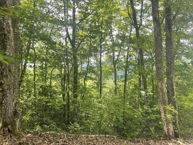 Fontana Lake Lot For Sale in Bryson City North Carolina