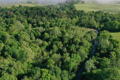 Lake Acreage For Sale in Havana, Arkansas