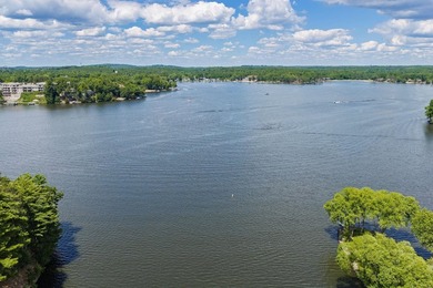 Discover luxury lakefront living on the sought-after shores of - photo 52