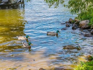 Discover luxury lakefront living on the sought-after shores of - photo 54