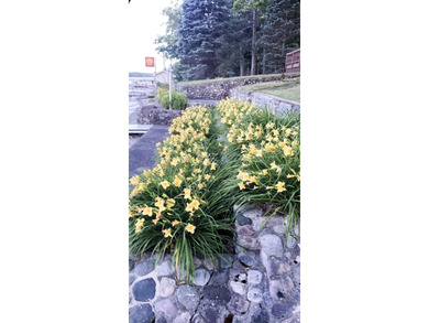 Welcome to this exceptionally well-maintained 3-bedroom, 2-bath - photo 7