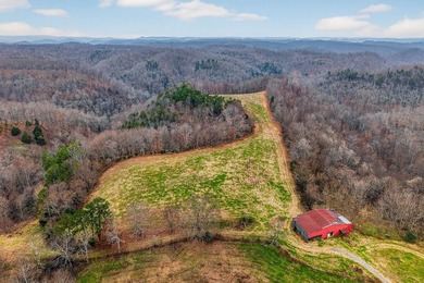 This century farm features a mix of open and wooded acreage with - photo 7