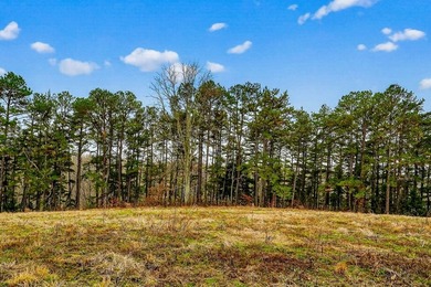 This century farm features a mix of open and wooded acreage with - photo 9