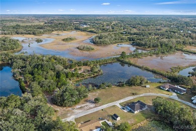 (private lake, pond, creek) Acreage For Sale in Inverness Florida