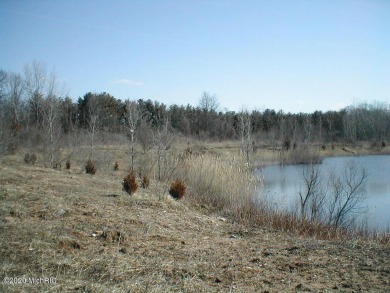 (private lake) Commercial For Sale in Berrien Springs Michigan