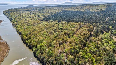 Lake Dardanelle Acreage For Sale in Delaware Arkansas