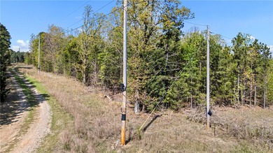 6 acres on Lake Dardanelle! Beautiful wooded tract with privacy - photo 3