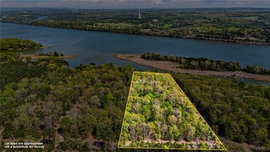 6 acres on Lake Dardanelle! Beautiful wooded tract with privacy - photo 4