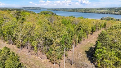 6 acres on Lake Dardanelle! Beautiful wooded tract with privacy - photo 5