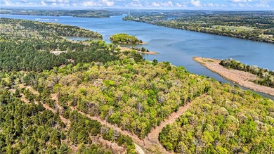 6 acres on Lake Dardanelle! Beautiful wooded tract with privacy - photo 6
