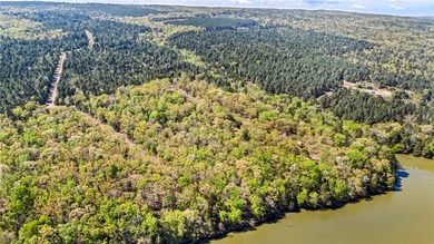 6 acres on Lake Dardanelle! Beautiful wooded tract with privacy - photo 7