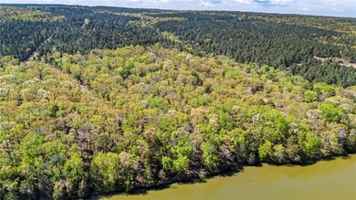 6 acres on Lake Dardanelle! Beautiful wooded tract with privacy - photo 8