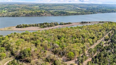6 acres on Lake Dardanelle! Beautiful wooded tract with privacy - photo 9