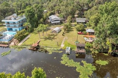 St. Johns River - Lake County Home For Sale in Debary Florida