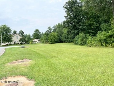 This is a beautiful buildable lot that offers 1 full acre of - photo 3